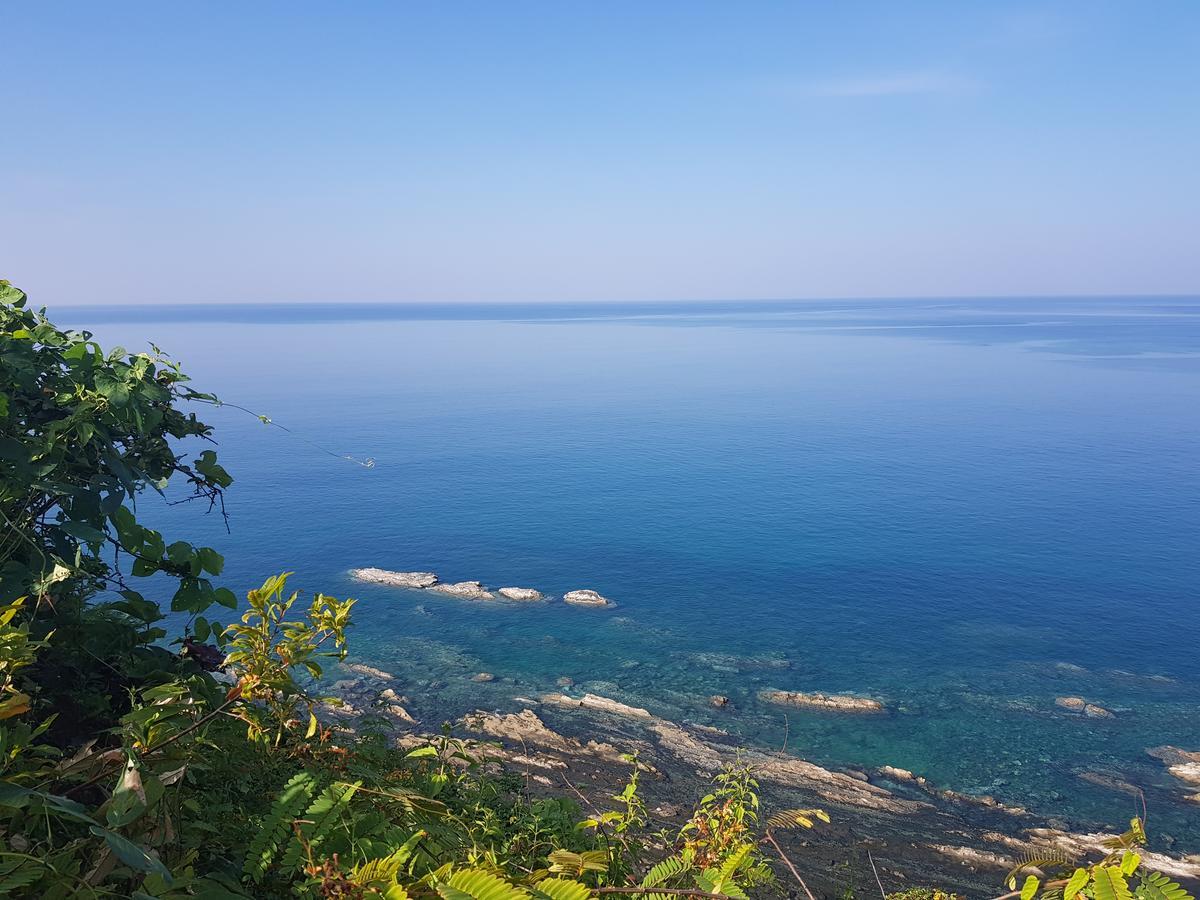 椰子岛度假村 额布里 外观 照片