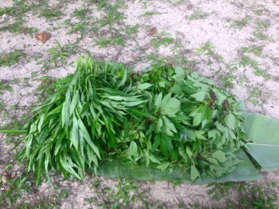 椰子岛度假村 额布里 外观 照片