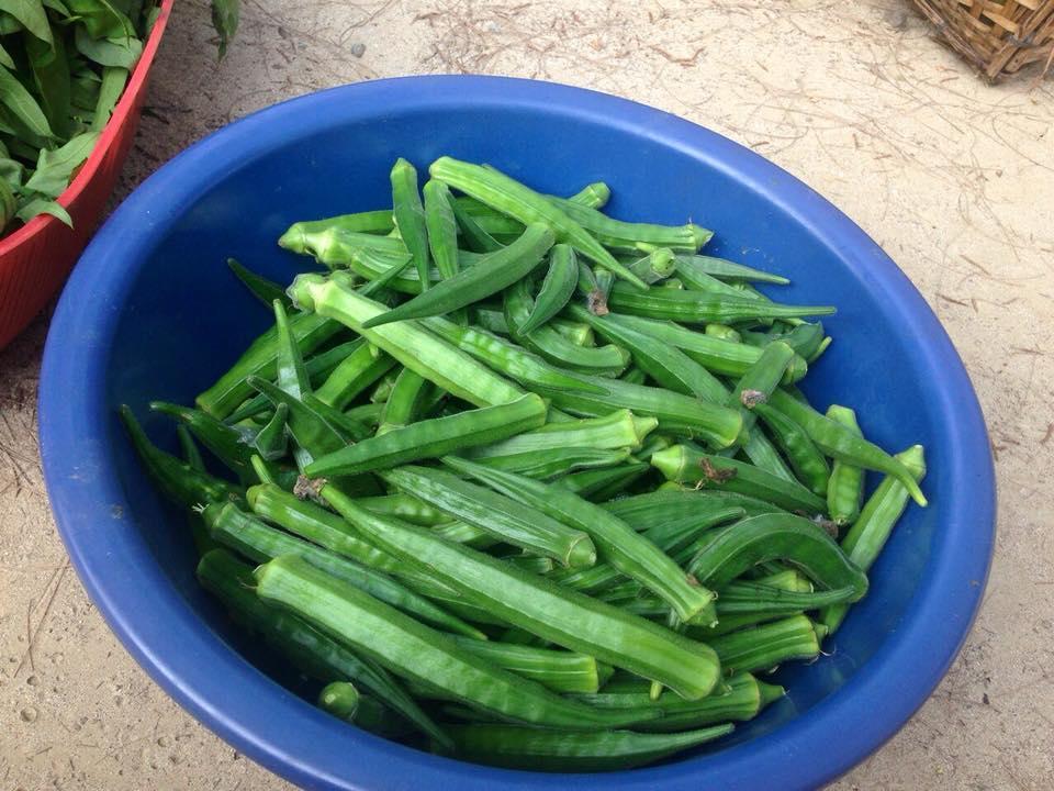 椰子岛度假村 额布里 外观 照片