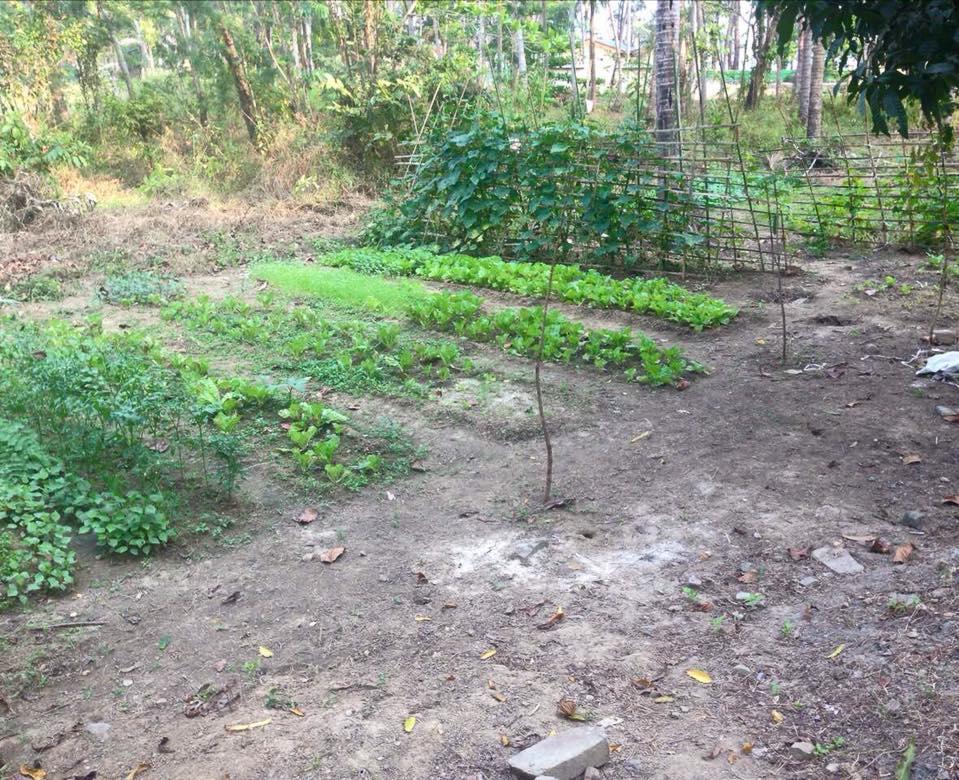 椰子岛度假村 额布里 外观 照片
